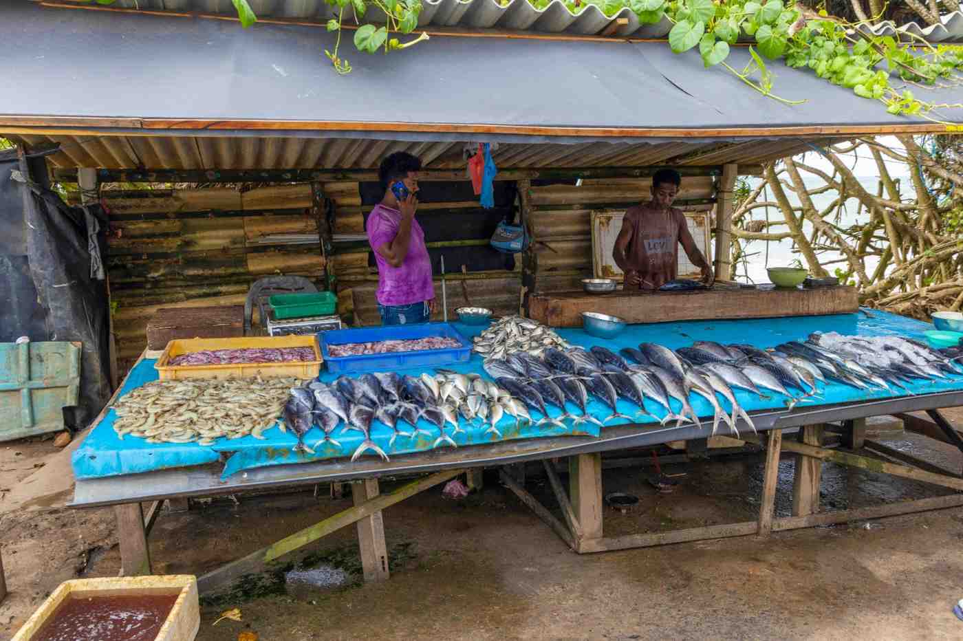 fishmonger-in-bentota-village-sri-lanka