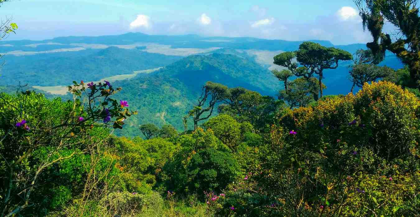 horton-plains-nuwaraeliya-sri-lanka