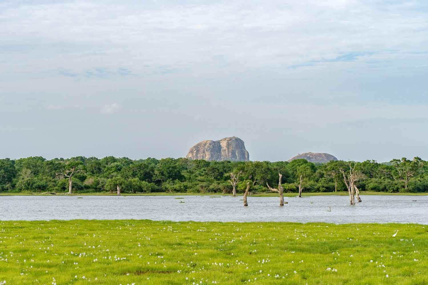 yala-national-park-sri-lanka